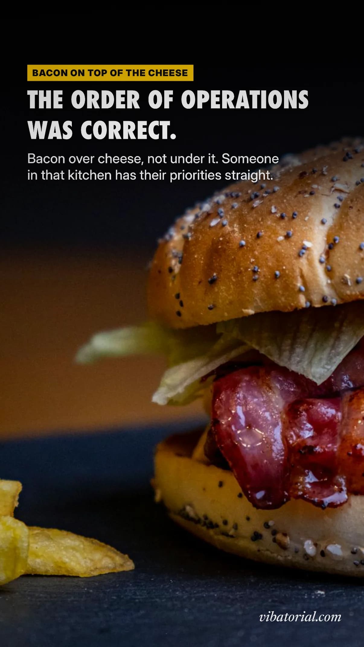 Magazine cover made by Vibatorial from a photo of a bacon cheeseburger with fries. Headline: THE ORDER OF OPERATIONS WAS CORRECT.