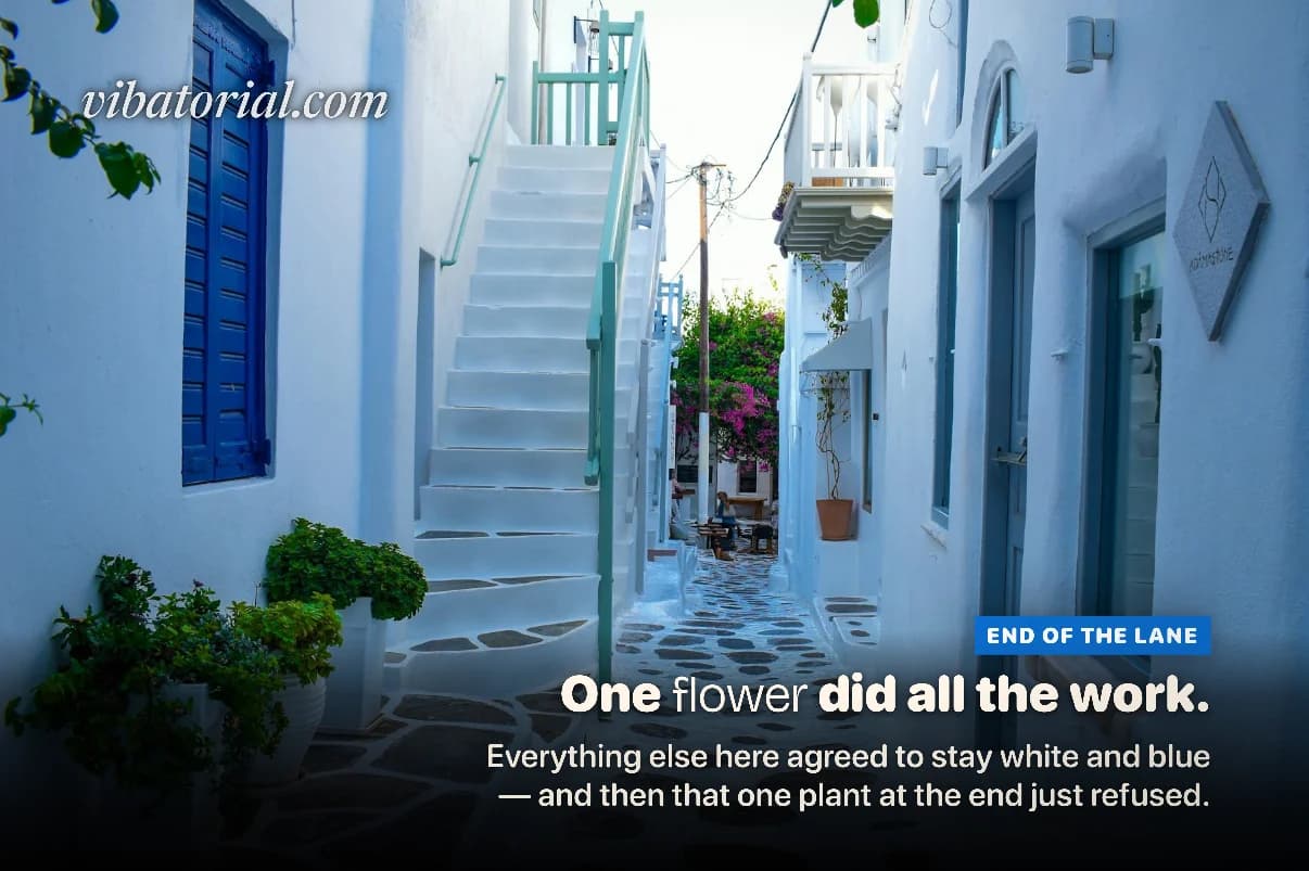 Magazine cover made by Vibatorial from a photo of a whitewashed lane with blue doors and one flowering plant. Headline: One flower did all the work.