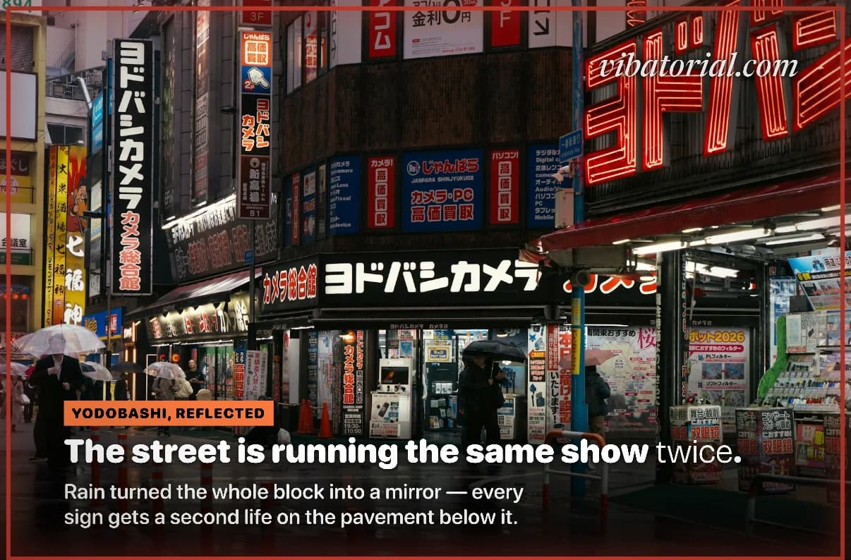 Magazine cover made by Vibatorial from a photo of a rainy street of camera shops at night. Headline: The street is running the same show twice.