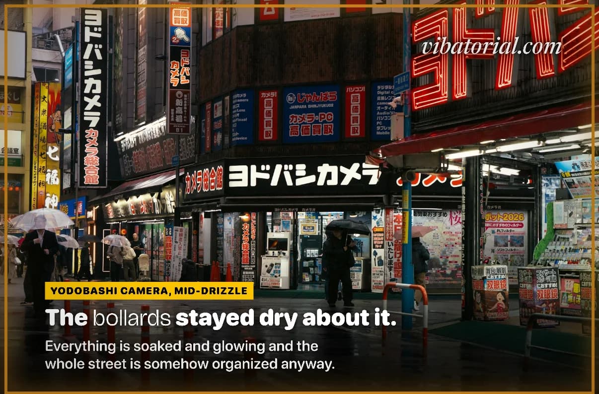 Magazine cover made by Vibatorial from a photo of a rainy street of camera shops at night. Headline: The bollards stayed dry about it.